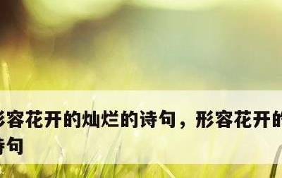 形容花开的灿烂的诗句，形容花开的灿烂的古诗句