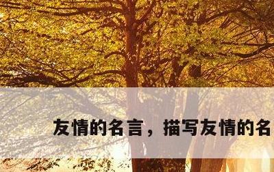 友情的名言，描写友情的名言