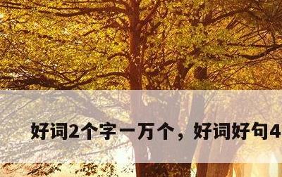 好词2个字一万个，好词好句400字
