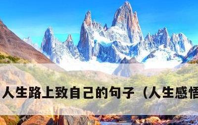 人生路上致自己的句子，人生感悟八个字
