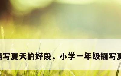 描写夏天的好段，小学一年级描写夏天的好段