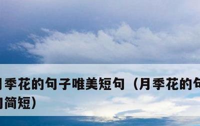 月季花的句子唯美短句，月季花的句子唯美短句简短