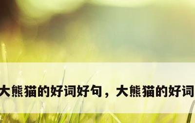 大熊猫的好词好句，大熊猫的好词好句好段