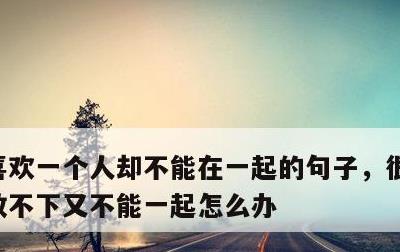 喜欢一个人却不能在一起的句子，很爱一个人放不下又不能一起怎么办