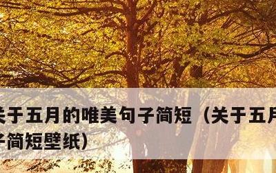 关于五月的唯美句子简短，关于五月的唯美句子简短壁纸