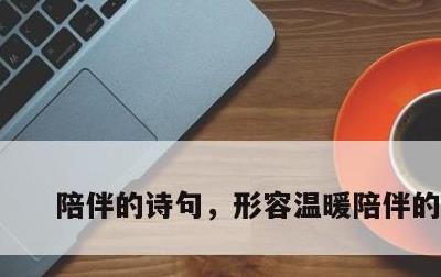 陪伴的诗句，形容温暖陪伴的诗句