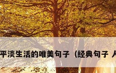 平淡生活的唯美句子，经典句子 人生感悟