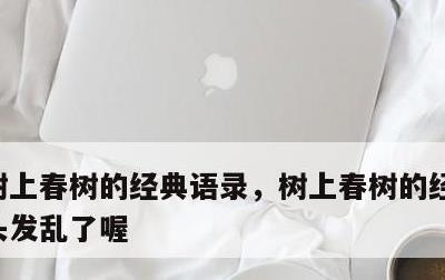 树上春树的经典语录，树上春树的经典语录你头发乱了喔