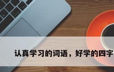 认真学习的词语，好学的四字词语
