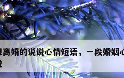 想离婚的说说心情短语，一段婚姻心累了的说说
