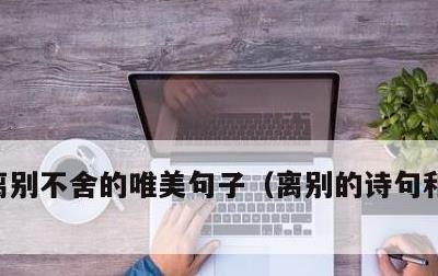 离别不舍的唯美句子，离别的诗句和优美句子