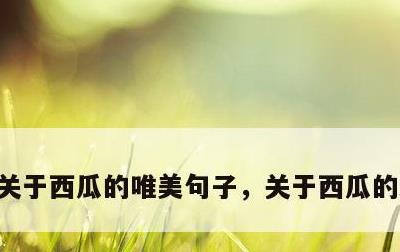 关于西瓜的唯美句子，关于西瓜的经典语录