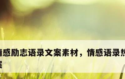 情感励志语录文案素材，情感语录热门素材文案