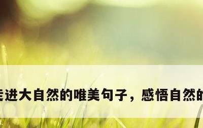 走进大自然的唯美句子，感悟自然的唯美语句
