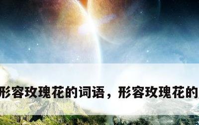 形容玫瑰花的词语，形容玫瑰花的唯美句子