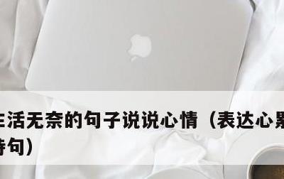 生活无奈的句子说说心情，表达心累又无奈的诗句