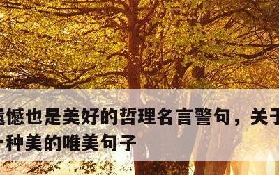 遗憾也是美好的哲理名言警句，关于遗憾也是一种美的唯美句子