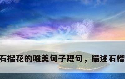 石榴花的唯美句子短句，描述石榴花的美句