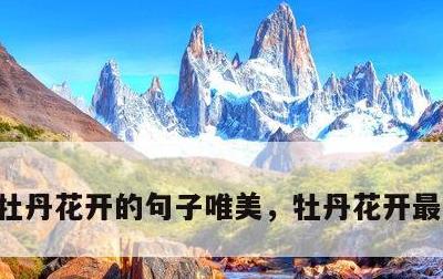 牡丹花开的句子唯美，牡丹花开最美的句子