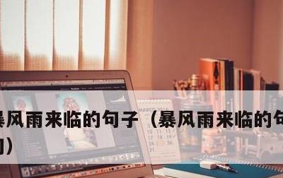 暴风雨来临的句子，暴风雨来临的句子要有短句