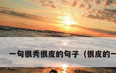 一句很秀很皮的句子，很皮的一句话