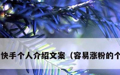 快手个人介绍文案，容易涨粉的个人介绍