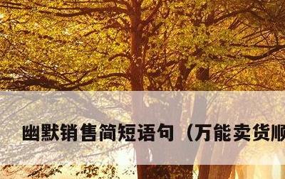 幽默销售简短语句，万能卖货顺口溜