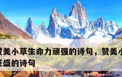 赞美小草生命力顽强的诗句，赞美小草生命力旺盛的诗句