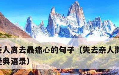 亲人离去最痛心的句子，失去亲人撕心裂肺的经典语录