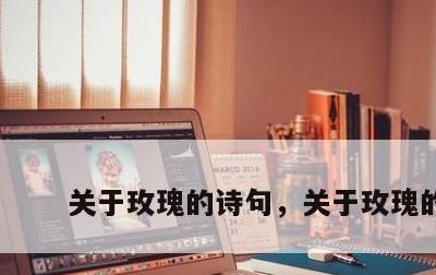 关于玫瑰的诗句，关于玫瑰的诗