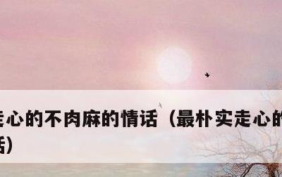 走心的不肉麻的情话，最朴实走心的表白一段话
