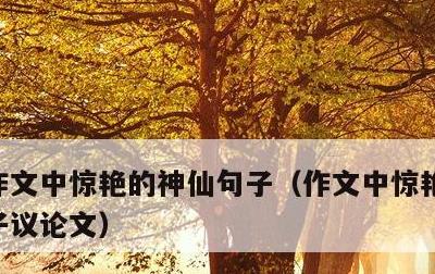 作文中惊艳的神仙句子，作文中惊艳的神仙句子议论文