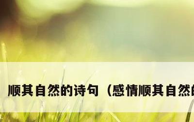 顺其自然的诗句,感情顺其自然的诗句
