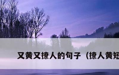 又黄又撩人的句子，撩人黄短句