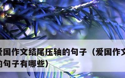 爱国作文结尾压轴的句子，爱国作文结尾压轴的句子有哪些