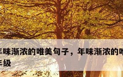 年味渐浓的唯美句子，年味渐浓的唯美句子二年级