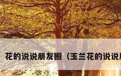 花的说说朋友圈，玉兰花的说说朋友圈