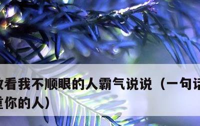 致看我不顺眼的人霸气说说，一句话怼死不尊重你的人