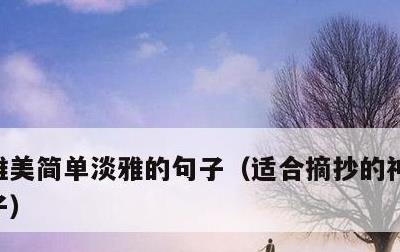 唯美简单淡雅的句子，适合摘抄的神仙惊艳句子