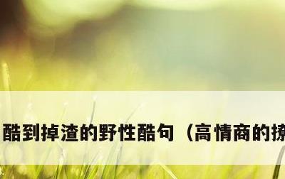 酷到掉渣的野性酷句，高情商的撩人句子