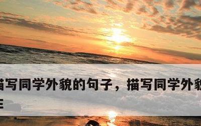 描写同学外貌的句子，描写同学外貌的句子男生