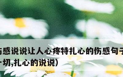 伤感说说让人心疼特扎心的伤感句子，看透了一切,扎心的说说