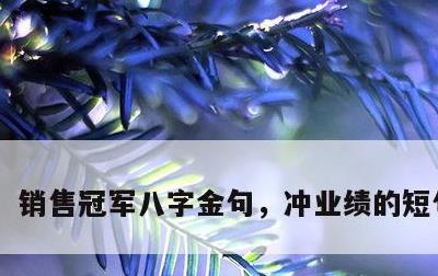 销售冠军八字金句，冲业绩的短句 霸气