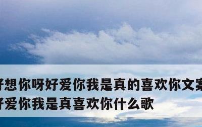 好想你呀好爱你我是真的喜欢你文案，好想你好爱你我是真喜欢你什么歌