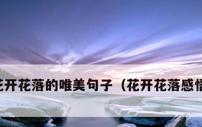 花开花落的唯美句子，花开花落感悟人生句子