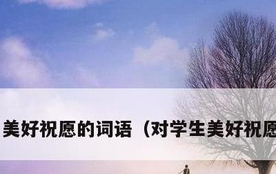 美好祝愿的词语，对学生美好祝愿的词语