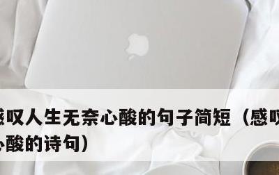 感叹人生无奈心酸的句子简短，感叹人生无奈心酸的诗句