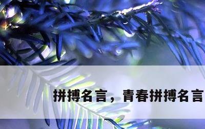 拼搏名言，青春拼搏名言