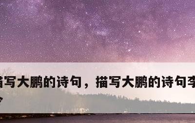 描写大鹏的诗句，描写大鹏的诗句李清照如梦令
