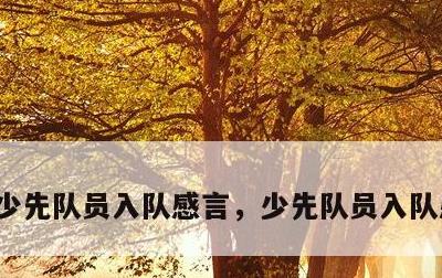 少先队员入队感言，少先队员入队感言50字